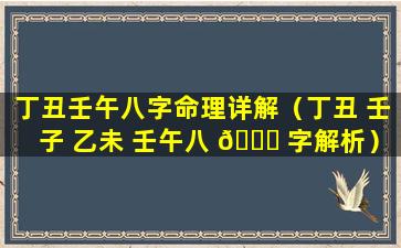 丁丑壬午八字命理详解（丁丑 壬子 乙未 壬午八 🐘 字解析）